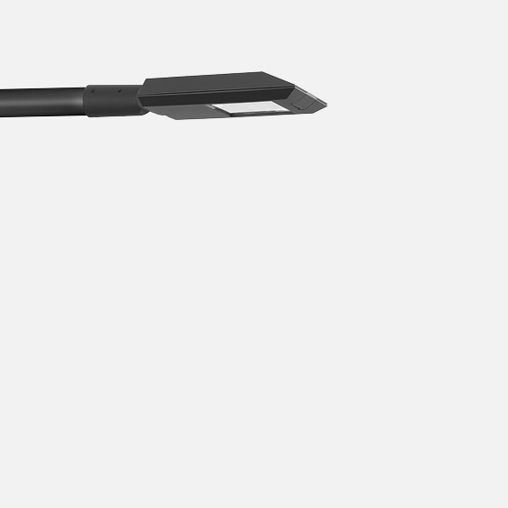 Davit arm