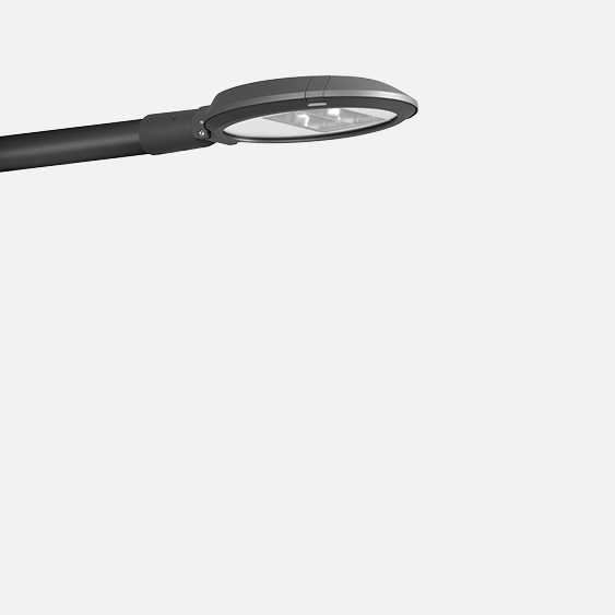 Davit arm