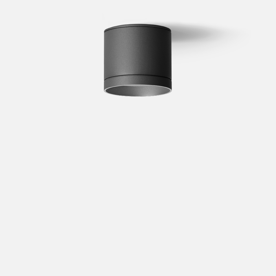 Surface mounted downlight