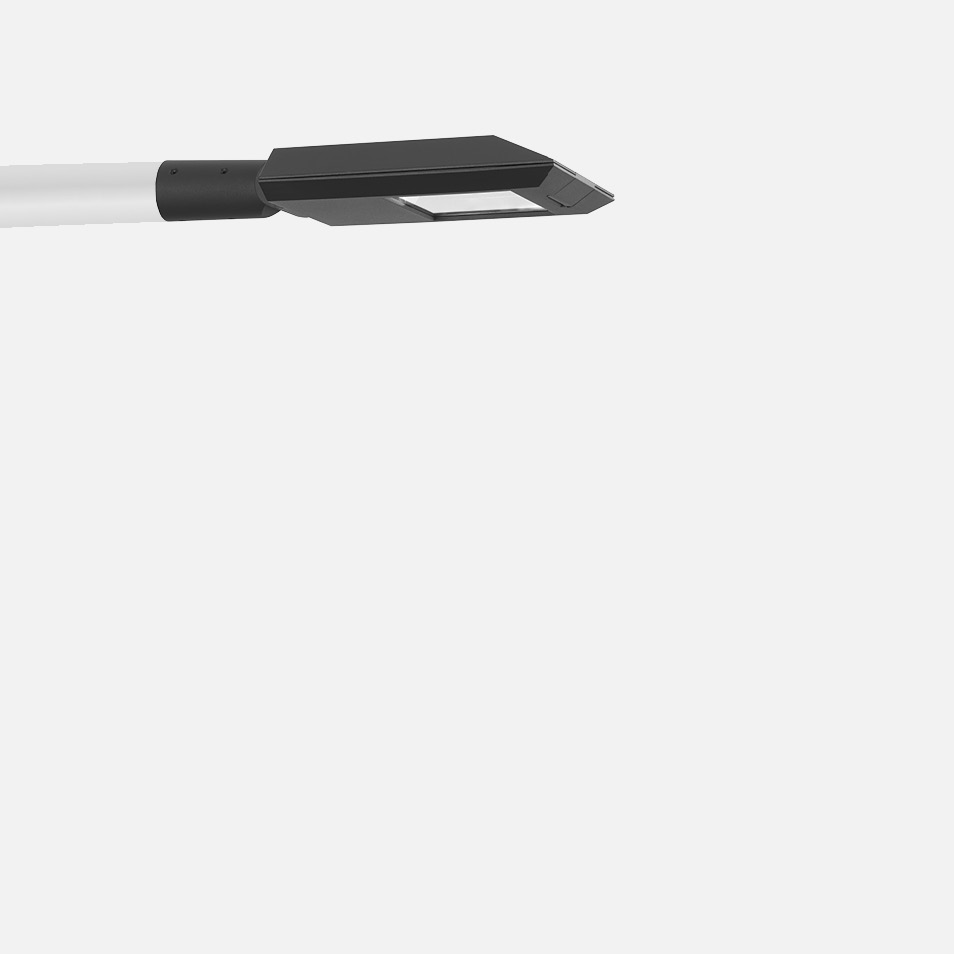 Area/Roadway luminaire