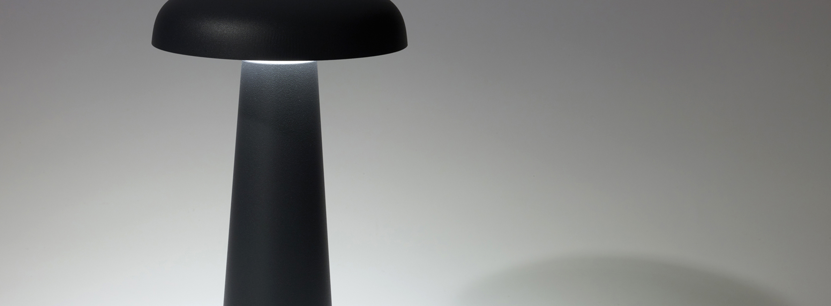 Product Banner