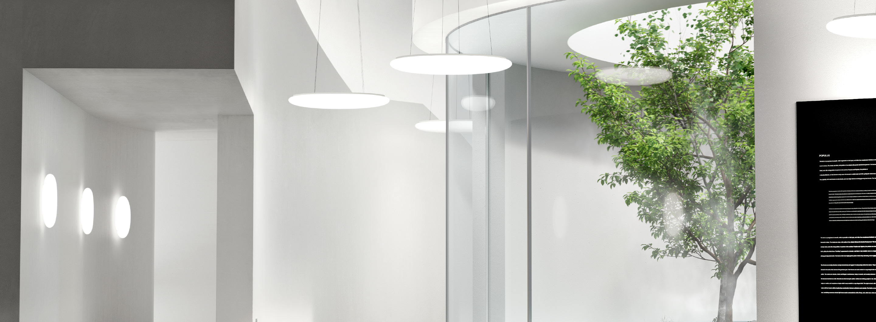 Product Banner